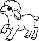 Baby Sheep Lamb Coloring Pages Getdrawings Drawing sketch template