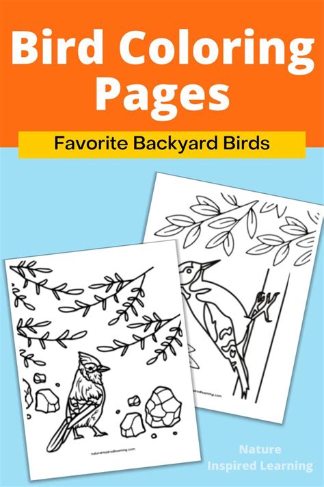 printable bird coloring pages bird coloring pages family