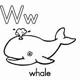Whale sketch template