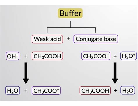 buffers buffer components  buffer action chemistry jove