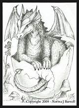 Draak Kleurplaat Hatching Volwassenen Dragons Voor Thrones Moeilijk Enge Leeuw Mythical Aceo Kleurplaten Omnilabo Downloaden Manualidades Sorcery sketch template
