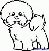 Bichon Frise Coloring Dog Drawing Draw Pages Memorial Search Puppy Google Tutorials Animals Choose Board Ua Pp sketch template