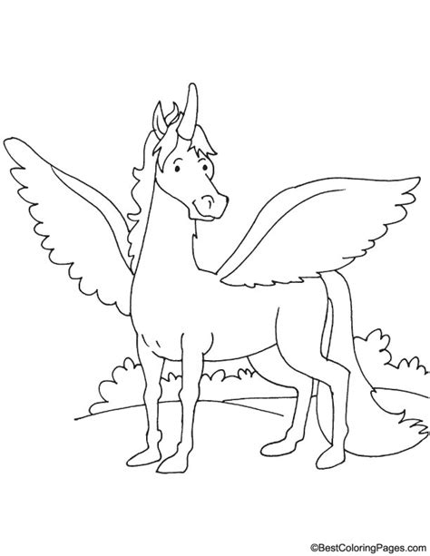 coloring pages horses  wings