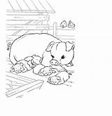 Maialini Pigs Fattoria Matite Vengono Segno Dolcezza Usate Disegnidacolorareperadulti sketch template