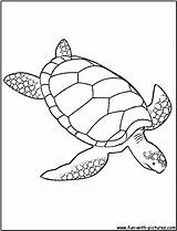 Turtle Coloring Sea Green Pages Printable Kids Animals Fun sketch template