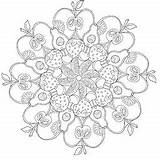 Fruit Mandala Coloring Book Review Amazon Honest Given sketch template