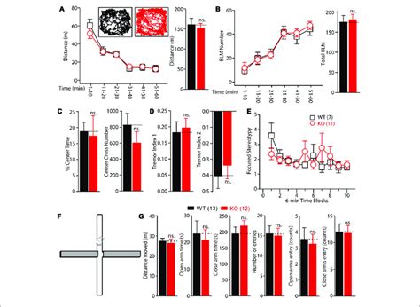 exploratory behavior models of anxiety in mice etuttor