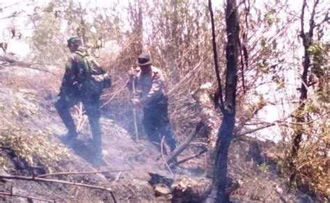 Golok Dan Ranting Senjata Ampuh Padamkan Api Di Gunung Sumbing