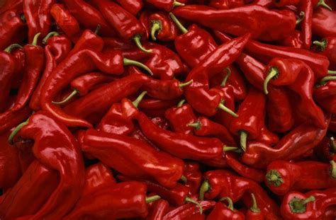 fresh hatch red chile update  weather delay