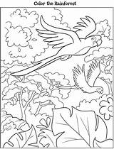 Dover Coloriage Kooky Amazonas Sheets Adultes Selva Doverpublications sketch template
