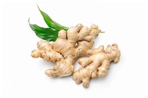 grow ginger   simple steps