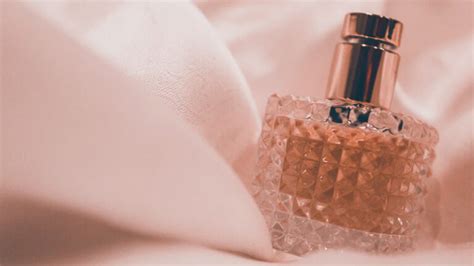 guide  understanding perfume notes dot  women