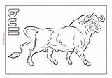 Bull sketch template