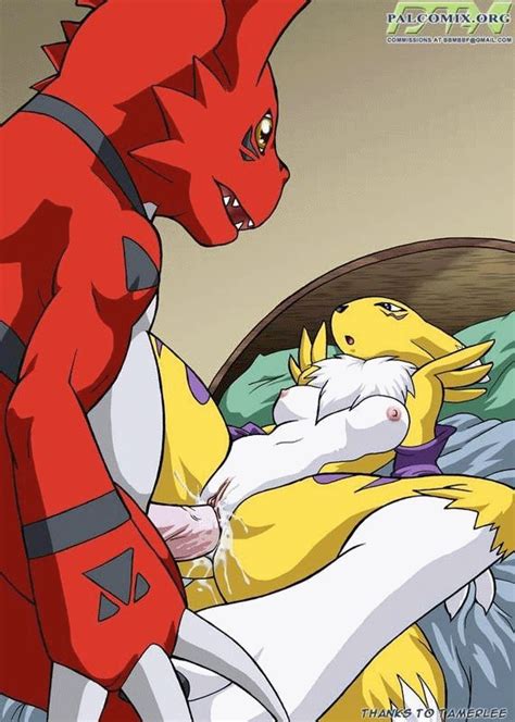 142990 Digimon Guilmon Palcomix Renamon Animated Renamon
