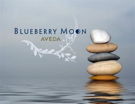 blueberry moon salon spa chicago il gift card  quickgifts