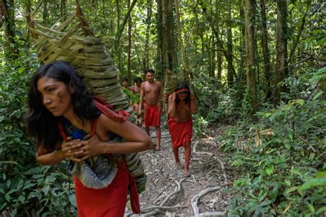 amazonian waiapi tribe fighting against mining companies for survival