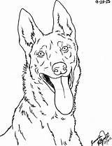 Dutch Drawing Dog Shepherd Malinois Easy Belgian Canis Simensis Line Coloring German Rysunki Lineart Deviantart Drawings Cool Zwierzęta Ołówkiem Getdrawings sketch template