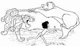 Jungle Mowgli Khan Shere Baloo Kaa Selva Schlange Dschungelbuch Malvorlage Dschungel Clip Papan Bagira Giungla sketch template