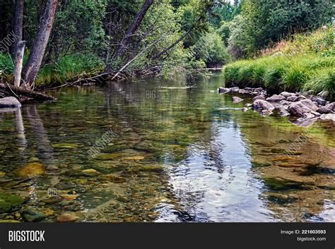 crystal clear river image photo  trial bigstock