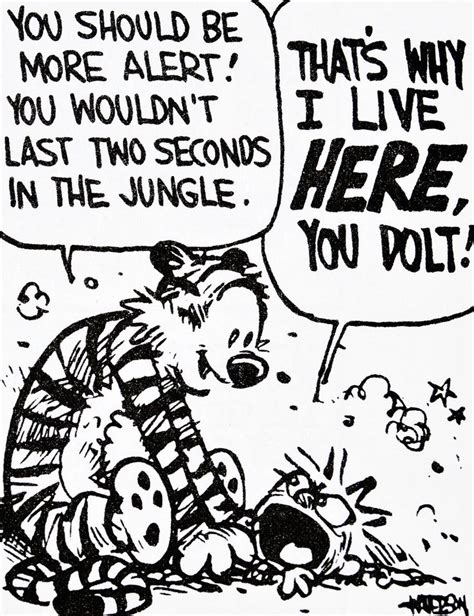 254 best calvin and hobbes images on pinterest comic