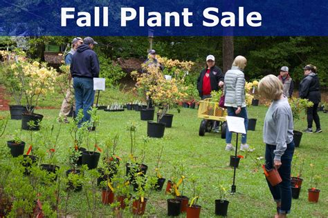 2019 Arboretum Fall Native Plant Sale