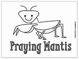 Coloring Praying Mantis Bugs Pages Kids Little sketch template