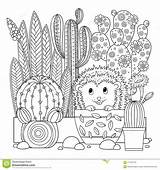 Coloring Cactus Cute Vector Scribble Linear Contour Background Book Fo Adults Antistress Meditation sketch template