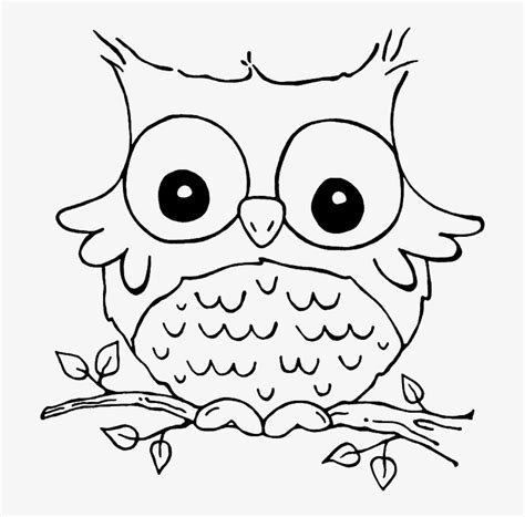 fall coloring pages owl transparent png