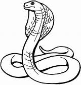 Snake Garter Getdrawings Drawing Animaux sketch template