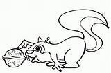 Squirrel Eekhoorn Esquilo Scoiattolo Kleurplaat Kleurplaten Noz Desenho Colorear Ardilla Ecureuil Nuez Disegno Tocando Eekhoorns Jugando Ardillas Eichhörnchen Coloriages Animali sketch template
