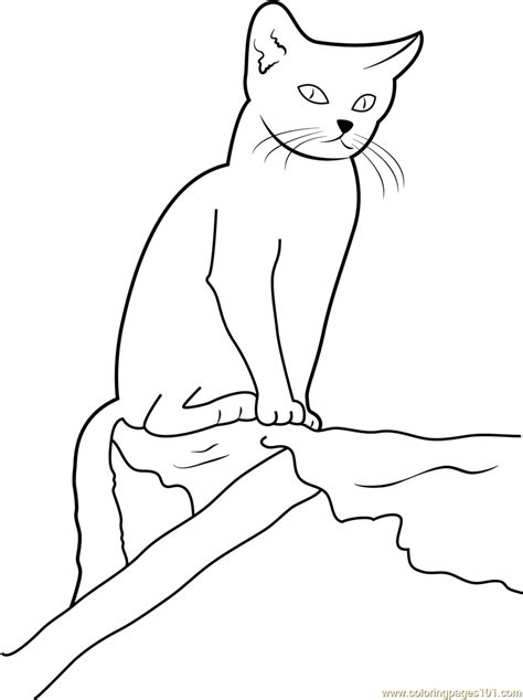 cat sitting  wood coloring page  kids  cat printable