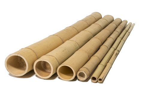 tonkin bamboo poles  sale byxs commercial