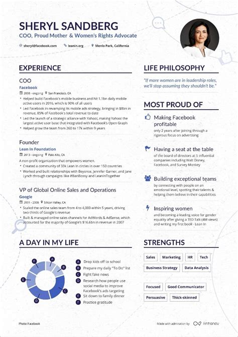 executive resume examples  templates