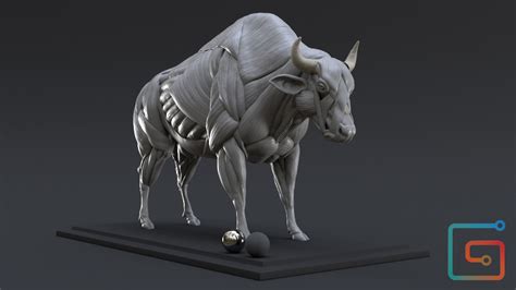 artstation bison study  muscles nicolas morel horse sculpture