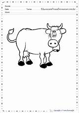 Colorir Vaca Boi Fazenda Desenhos sketch template