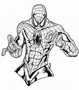 Marvel Coloring Pages Spider Man Clipartmag sketch template