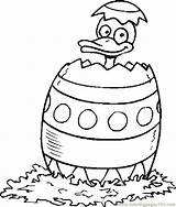 Easter Coloring Duck Pages Egg Template Chicks Color за Ducks принтиране оцветяване картинки Basket Hatching търсене Google Getcolorings Printable Print sketch template