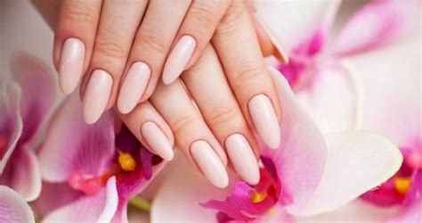 services nail salon  bellacio nails  spa conroe tx