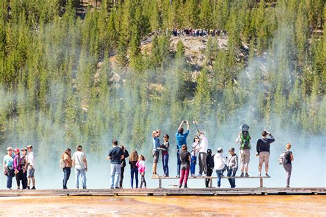 yellowstone releases  visitor  survey study yellowstone