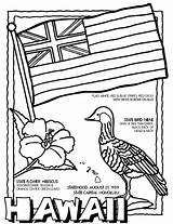 Coloring Hawaiian Pages sketch template