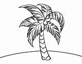Palm Tree Coloring Colorear Sunday Coloringcrew Book Clipartmag Drawings sketch template