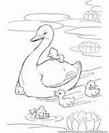 Coloring Pages Animal Farm Duck Ducks Animals Pond Printable Kids Print Sheet Honkingdonkey sketch template