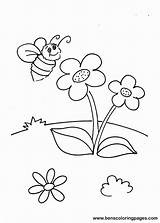 Bee Coloring Flower Pages Bees Color Drawing Clipart Colouring Busy Kids Cartoon Flowers Popular Library Bumble Getdrawings sketch template