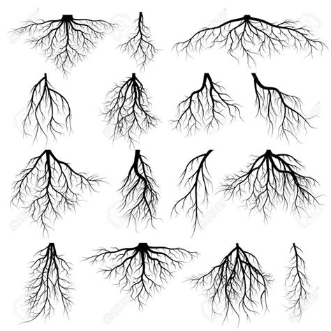 image result  roots roots drawing tree roots tattoo tree roots