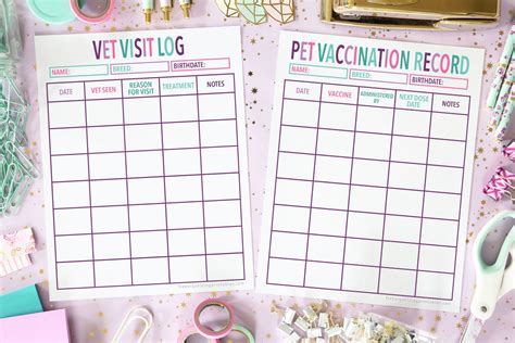 printable vet record template  pet vaccination record