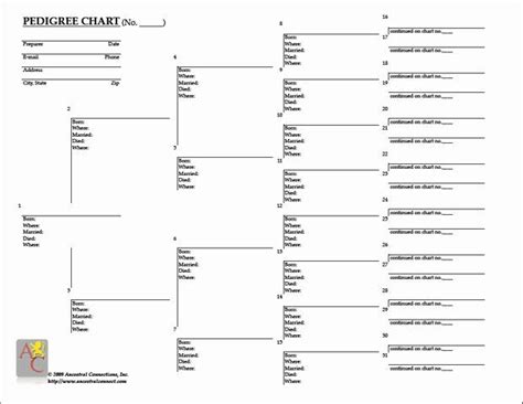 pedigree chart template    genealogy research kit