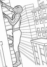 Spiderman Amazing Coloring Pages Getdrawings sketch template