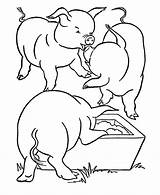 Pigs Farm Porcos Comendo Feeding Cerdo Cerdos Tudodesenhos Honkingdonkey Coloringhome sketch template