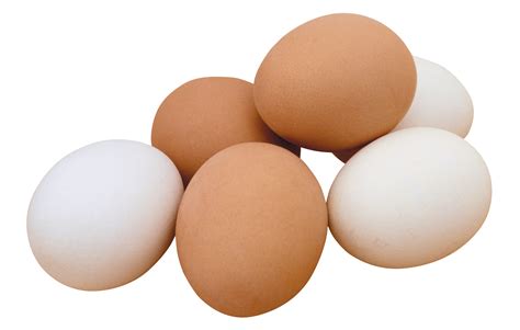 egg transparent png stickpng