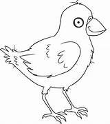 Crow Coloring Pages Color Printable Little Birds Animal Animals sketch template